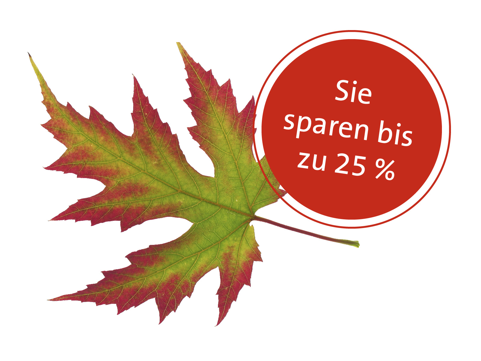Unsere Herbsthits