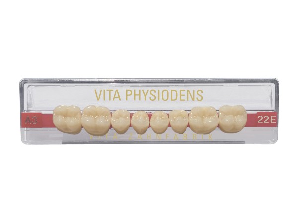 Vita Physiodens Seitenzähne